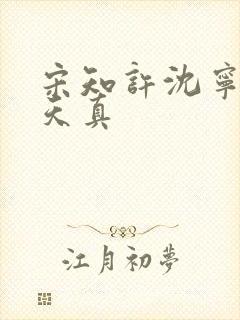 宋知许沈宁她太天真