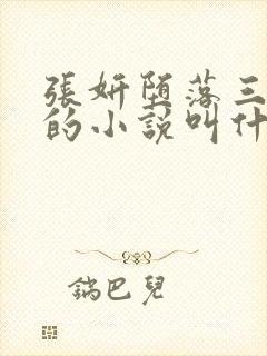 张妍堕落三部曲的小说叫什么