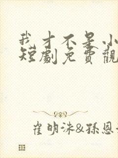 我才不是小可怜短剧免费观看全集