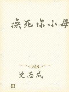 操死你小母狗