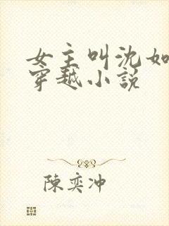 女主叫沈如意的穿越小说