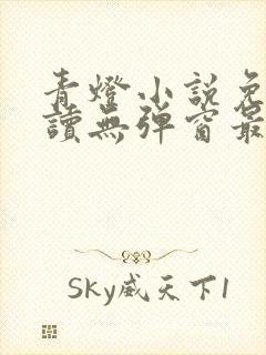 青灯小说免费阅读无弹窗最新章节封面