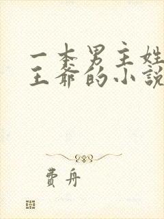 一本男主姓萧是王爷的小说