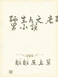 师生h文老师是男小说