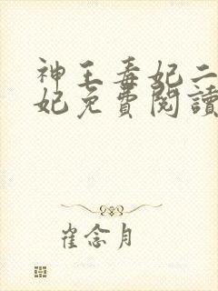 神王毒妃二嫁王妃免费阅读全文
