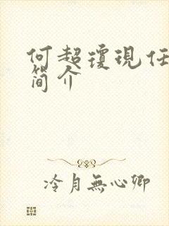 何超琼现任丈夫简介