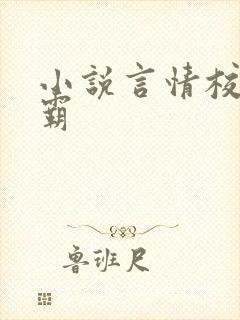 小说言情校园校霸