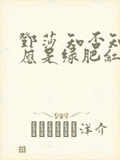 邓莎 知否知否应是绿肥红瘦