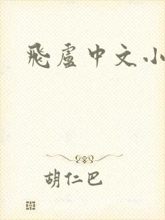 飞卢中文小说网封面