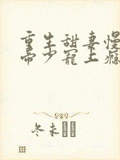 重生甜妻慢点撩帝少宠上瘾