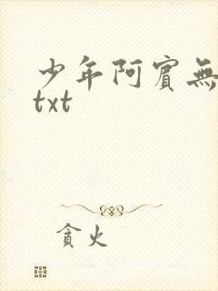 少年阿宾无删减txt