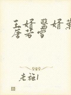 王婿 医婿叶凡唐若雪封面