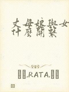 丈母娘与女婿是什么关系封面