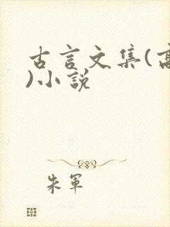古言文集(高h)小说