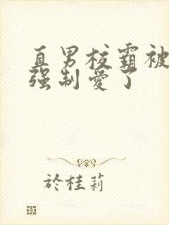 直男校霸被疯批强制爱了封面