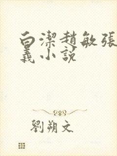 白洁赵敏张倩高义小说