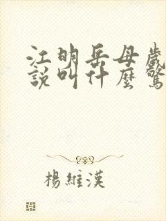 江明岳母岁的小说叫什么惊艳绝伦