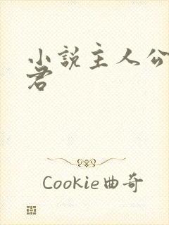 小说主人公叫李君