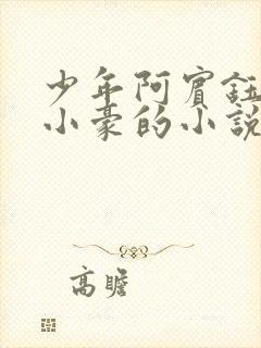 少年阿宾钰慧和小豪的小说