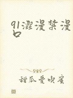 91涩漫禁漫入口