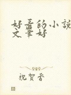 好看的小说言情文笔好