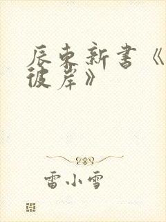 辰东新书《深空彼岸》封面