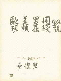 欧美男同gay视频在线观看