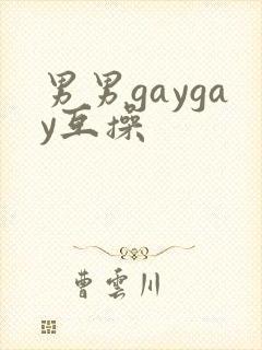 男男gaygay互操