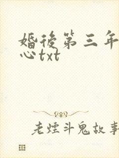 婚后第三年她变心txt