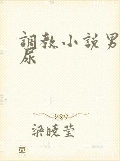 调教小说男男憋尿封面