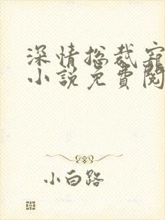 深情总裁宠不停小说免费阅读