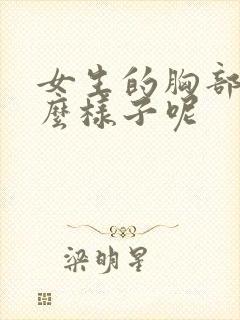 女生的胸部是什么样子呢