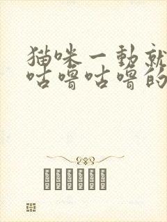 猫咪一动就发出咕噜咕噜的声音