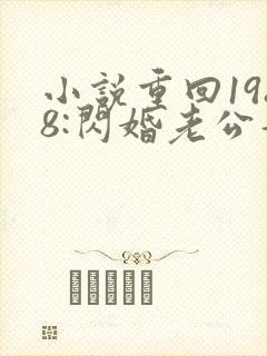 小说重回1988:闪婚老公竟是军区大佬免费封面