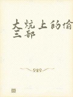 大炕上的偷乱第三部