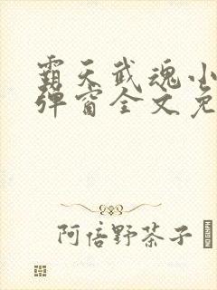 霸天武魂小说无弹窗全文免费阅读封面