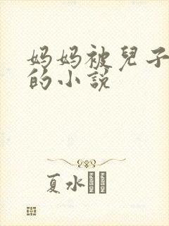 妈妈被儿子cc的小说封面