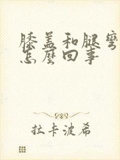 膝盖和腿弯疼是怎么回事