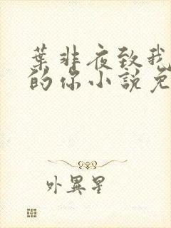 叶非夜致我最爱的你小说免费阅读