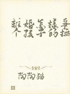 离婚怎样争夺两个孩子的抚养权