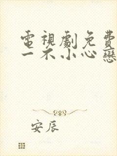 电视剧免费全集一不小心恋爱了封面