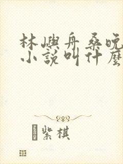 林屿舟桑晚温言小说叫什么名字