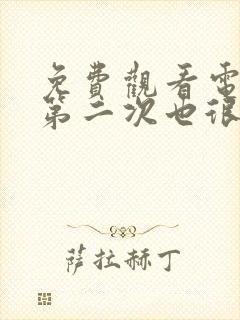 免费观看电视剧第二次也很美封面