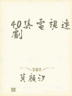 40集电视连续剧