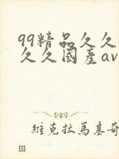 99精品久久久久久国产av