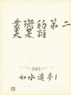 丛珊的第二任丈夫是谁