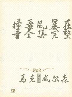 扫毒风暴在线观看全集完整版高清