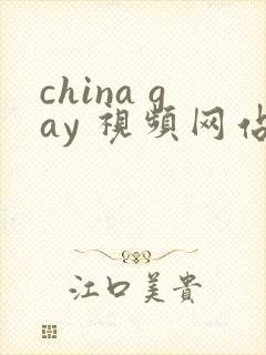 china gay 视频网站