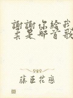 谢谢你给我的温柔是哪首歌的歌词