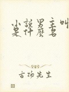 小说男主叫顾远是什么名